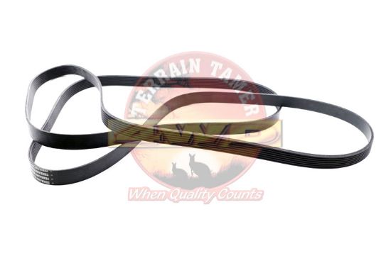 Fan Belt Kit To Suit Mazda BT50 UP/UR P5AT 3.2L 11/2011-7/2020