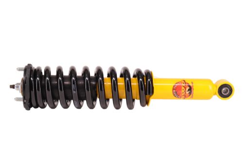 Coil Over Shock Assy Pair Raised 40MM 50-100KG with Bull Bar Fit For D Max TFS85 - Terrain Tamer TTCSA-006