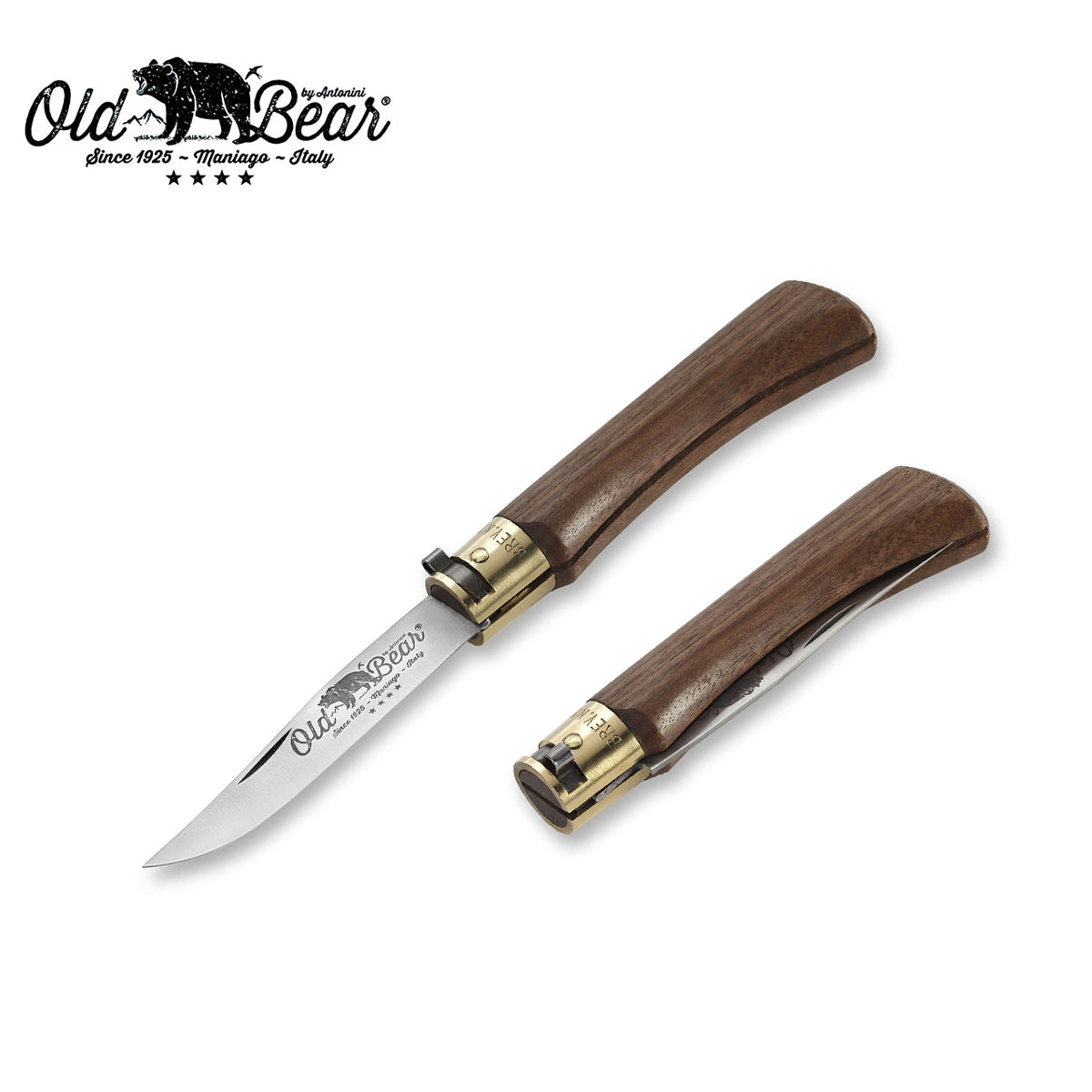 Old Bear Classical Walnut Pocket Knife - M