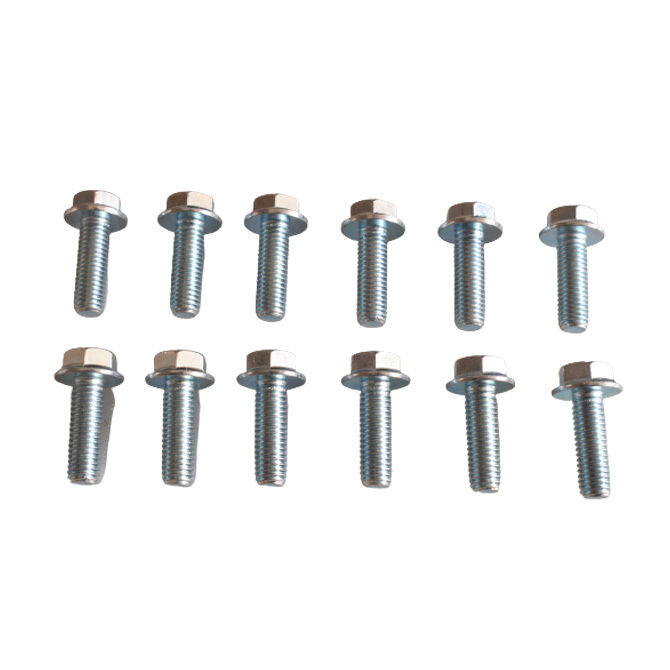 Holden Commodore VT-VF, LS1 LS2 LS3 L76 L77 L98 Lsa Extractor Header Bolt Kit