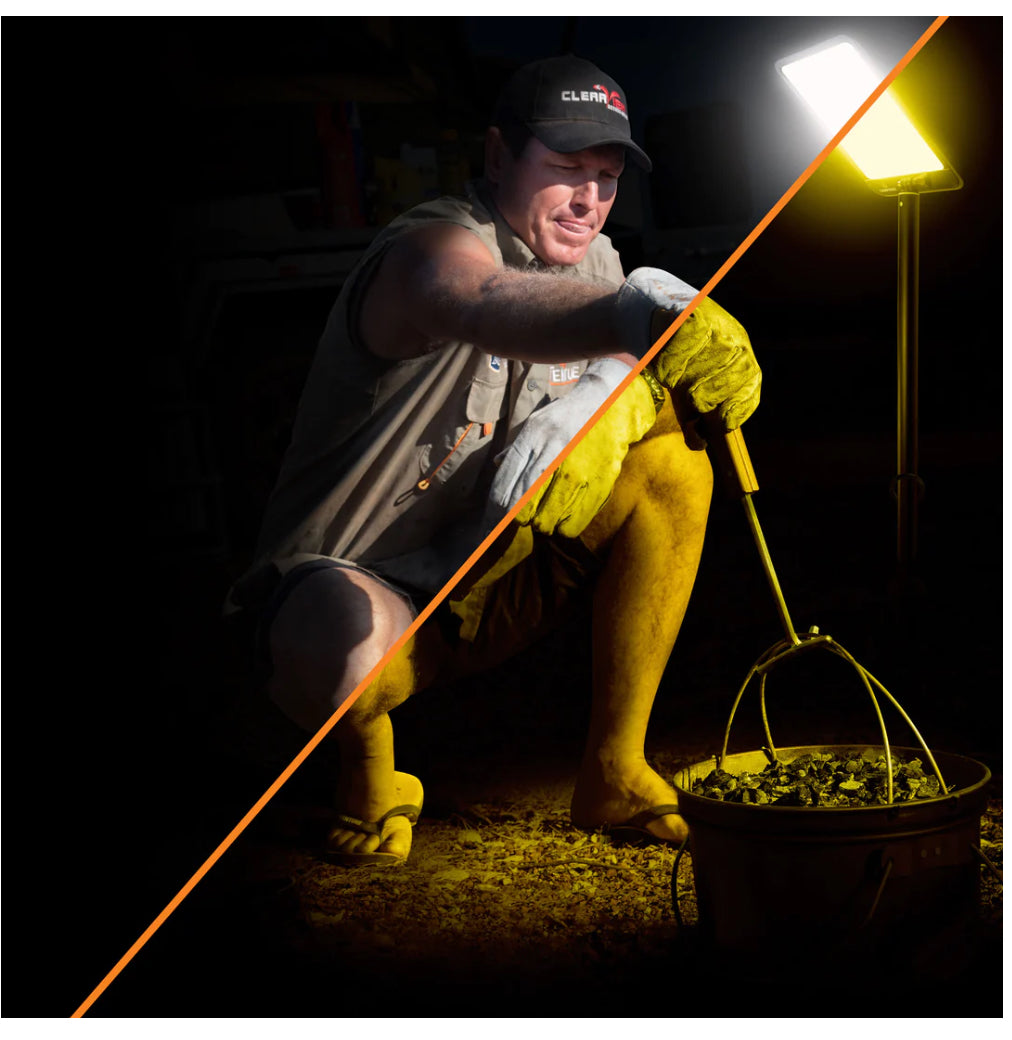 BOSS CAMP LIGHT
