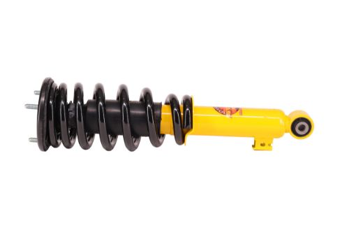 COIL OVER SHOCK ASSY PAIR RAISE 35MM TO 100KG TRITON MQ MR - TTCSA-012HD - MR - 2019-