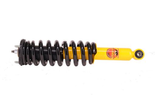 Coil Over Shock Assy Raised 40MM to 100KG Fit For Colorado Rg 2 - Terrain Tamer TTCSA-007HD