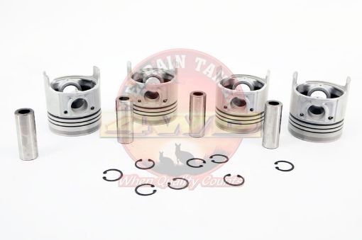 Piston Set L 0.50 Fit For Hilux LN46 - Terrain Tamer 13103-54021S