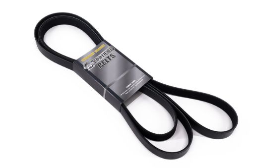 T/t Fortified Belt P4AT Engine 2.2L Only Fit For BT50 Up & BT50 Ur - Terrain Tamer AB396C301ABF