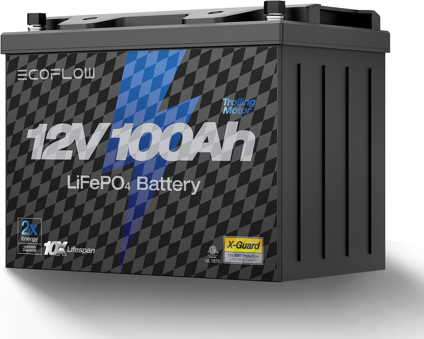 EcoFlow 12V 100Ah Lithium Battery