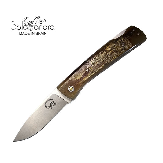 Salamandra Aura Ox Horn N690 Pocket Knife
