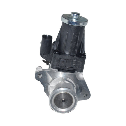 EGR Valve Fit For LDV G10 SV7C 1.9L Turbo Diesel N1RY 19D4N 2016-2022 1207101-ED01B