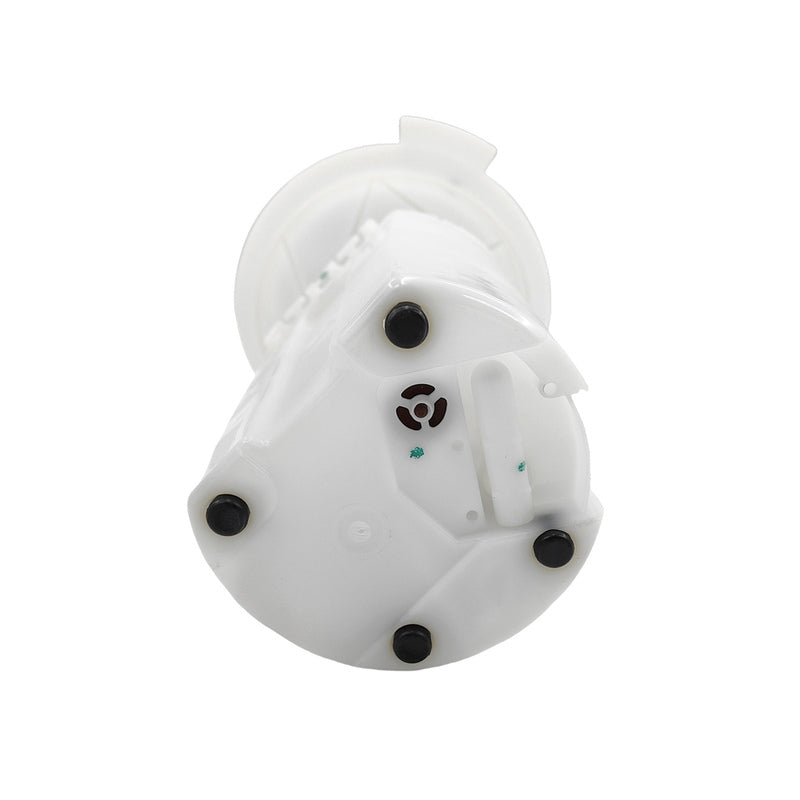 Electric Fuel Pump Assembly Fit For Ford Fairlane Fairmont LTD Falcon BF FG FGX 4.0L 5.4L BARRA 190 195 230 Sedan 2007-2016 2