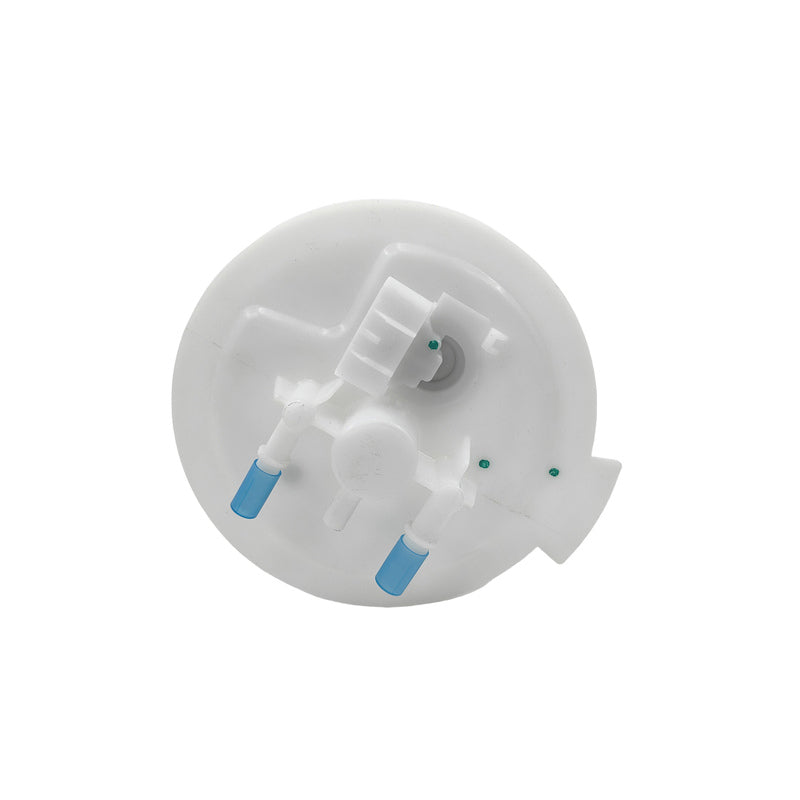 Electric Fuel Pump Assembly Fit For Ford Fairlane Fairmont LTD Falcon BF FG FGX 4.0L 5.4L BARRA 190 195 230 Sedan 2007-2016 2
