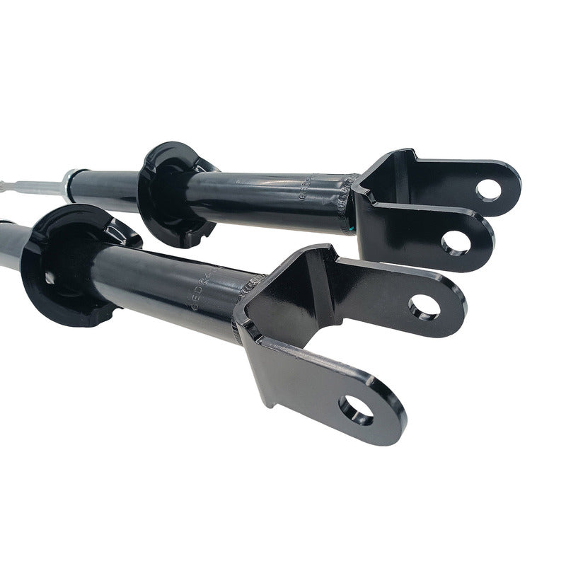 Machter 2 x Front Shock Absorbers Fit For Ford Falcon BF BA 2002-2008 RTV Model Only