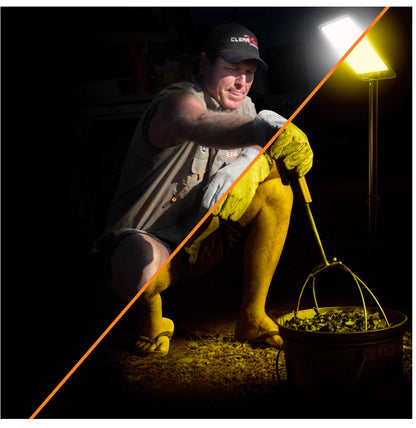 BOSS CAMP LIGHT