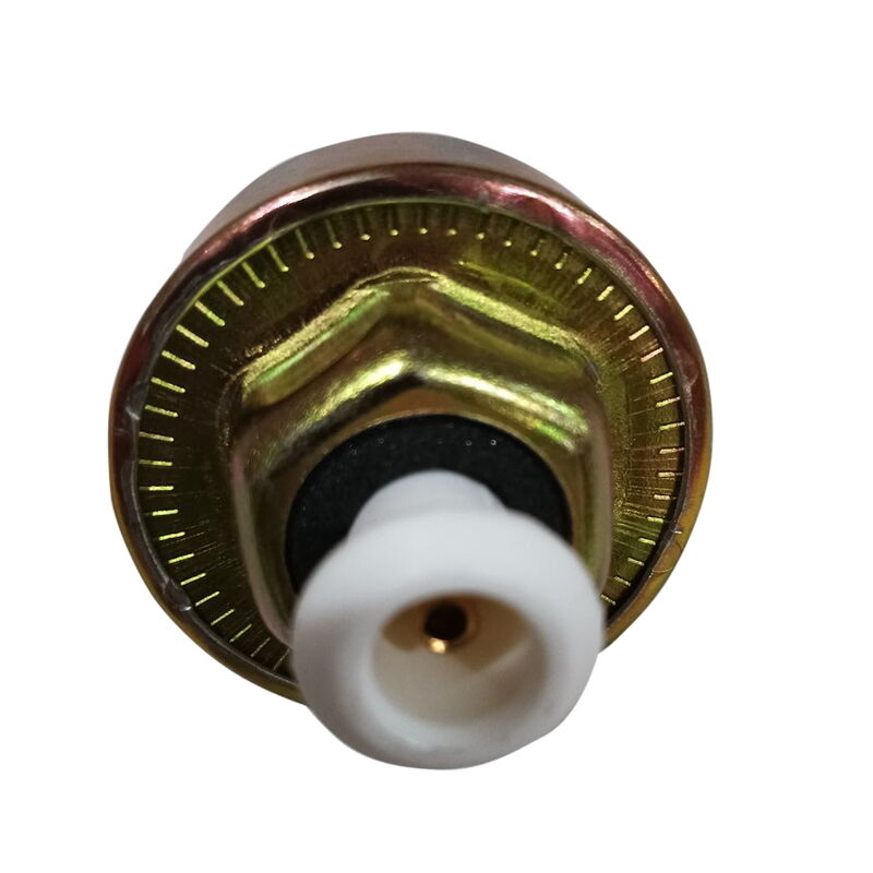 Knock Sensor Fit For Holden VS VT VU VX VY 3.8L V6 Commodore Calais WH WK Statesman
