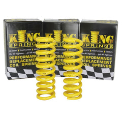 King Springs Front Raised 100–250kg Coil Pair – KTFR-101HHD