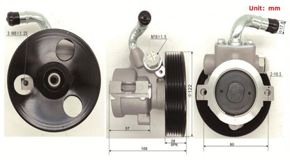 Machter Power Steering Pump With Pulley Fit For Holden Captiva 7 CG 2007-2011 2.0L TD Diesel
