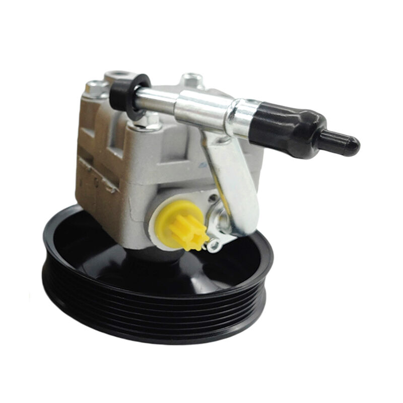 Power Steering Pump With Pulley & Hose Fit For Nissan Elgrand E51 3.5L 2.5L 2003-2009