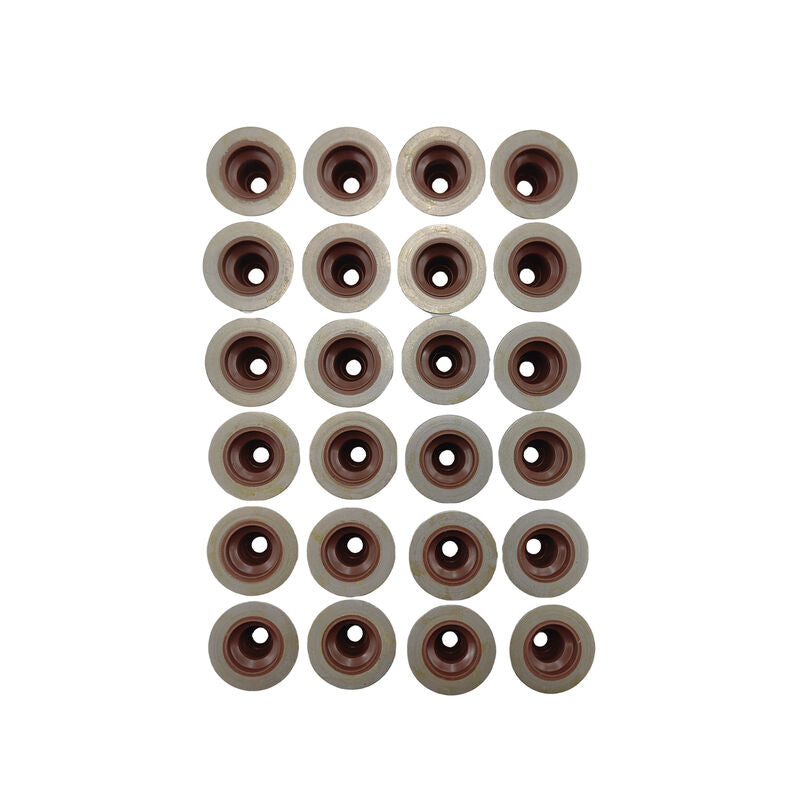 24 Pcs Engine Valve Stem Seals Fit For Ford Fairlane Fairmont Falcon BA BF FG Territory SX SY SZ V6 4.0L Petrol 2004-2016