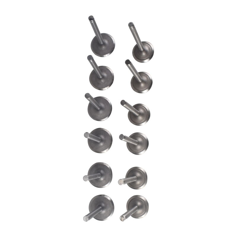 12 Pcs Intake Exhaust Valve Fit For Nissan TD42 4.2L 12V Diesel Patrol