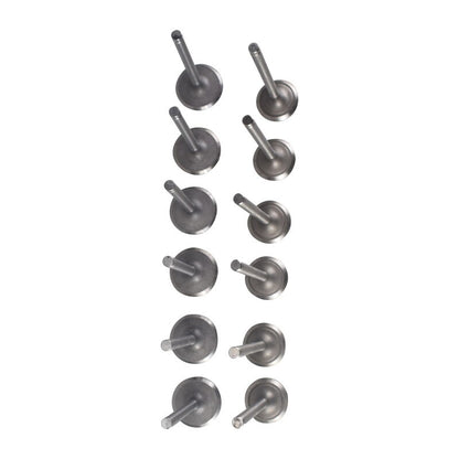 12 Pcs Intake Exhaust Valve Fit For Nissan TD42 4.2L 12V Diesel Patrol
