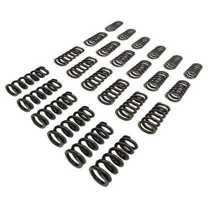 24 Pcs Performance Valve Springs Fit For Ford Falcon BA BF FG FGX Territory XR6 Barra 6cyl