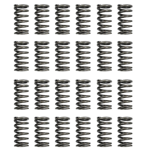 24 Pcs Performance Valve Springs Fit For Ford Falcon BA BF FG FGX Territory XR6 Barra 6cyl