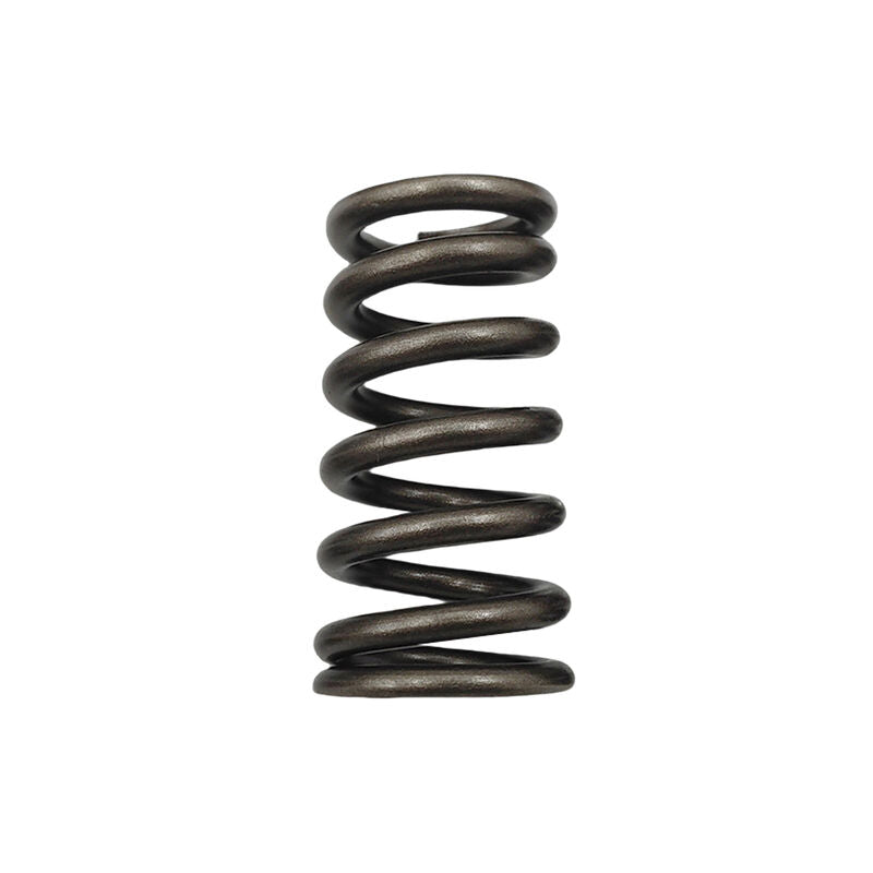 24 Pcs Performance Valve Springs Fit For Ford Falcon BA BF FG FGX Territory XR6 Barra 6cyl