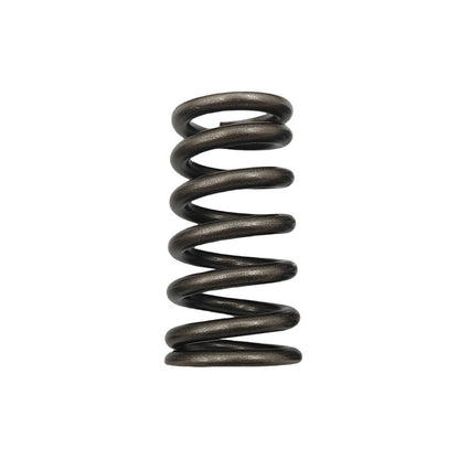 24 Pcs Performance Valve Springs Fit For Ford Falcon BA BF FG FGX Territory XR6 Barra 6cyl