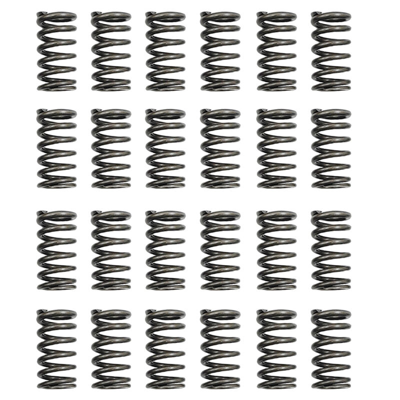 24 Pcs Performance Valve Springs Fit For Ford Falcon BA BF FG FGX Territory XR6 Barra 6cyl