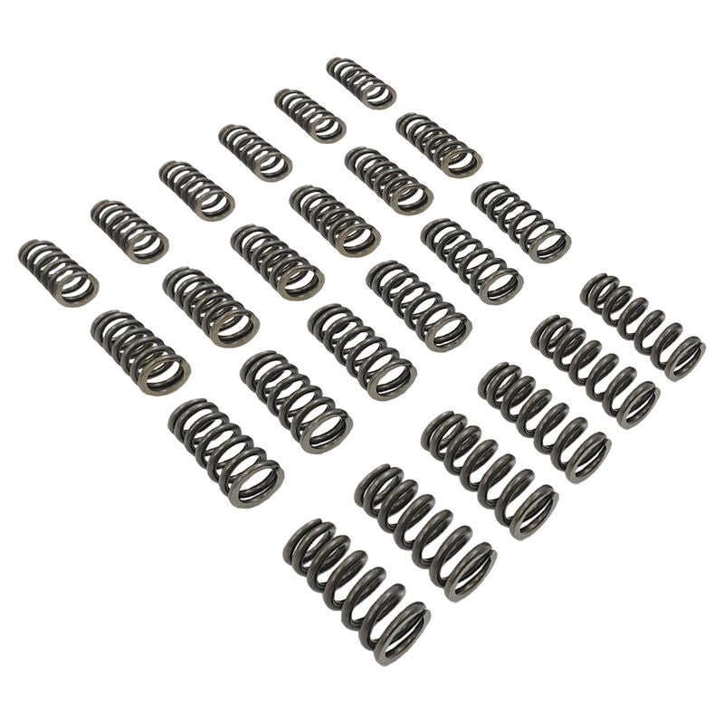 24 Pcs Performance Valve Springs Fit For Ford Falcon BA BF FG FGX Territory XR6 Barra 6cyl