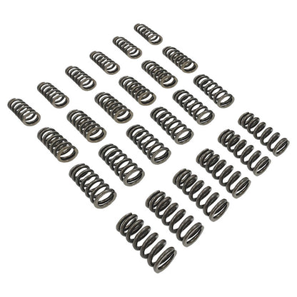 24 Pcs Performance Valve Springs Fit For Ford Falcon BA BF FG FGX Territory XR6 Barra 6cyl