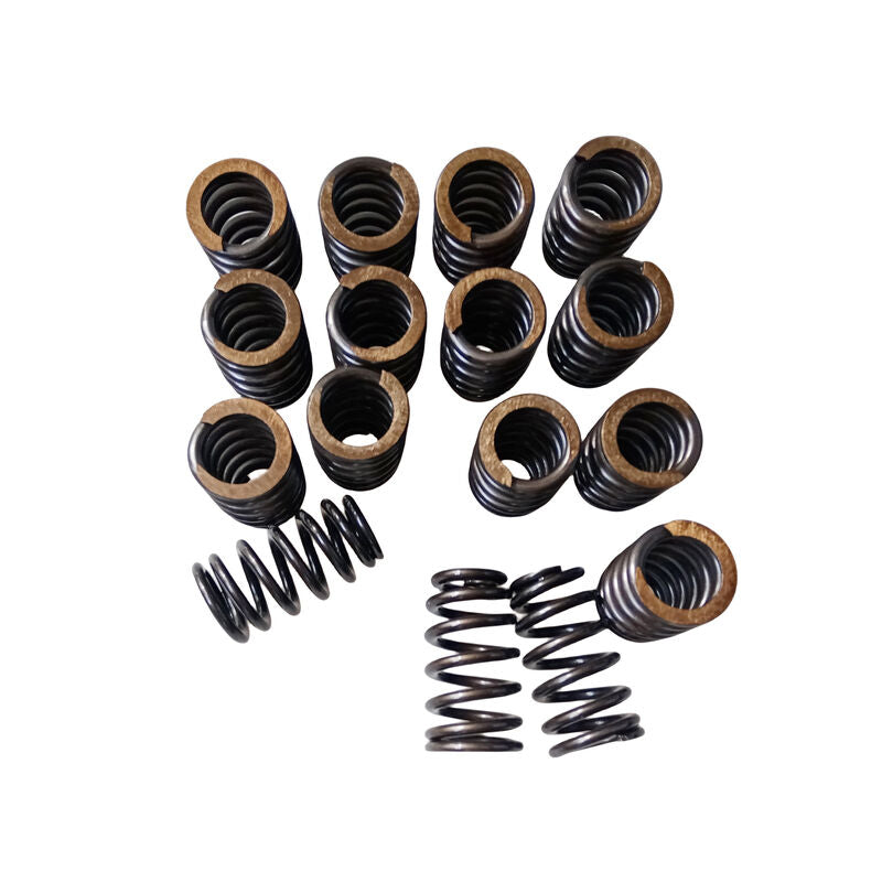 Valve Springs PAC-1218 Fit For GM LQ9 LQ4 LS LS1 LS3 LS6 LS2 4.8 5.3 6.0 6.2 .600"