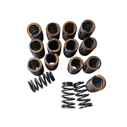 Valve Springs PAC-1218 Fit For GM LQ9 LQ4 LS LS1 LS3 LS6 LS2 4.8 5.3 6.0 6.2 .600"