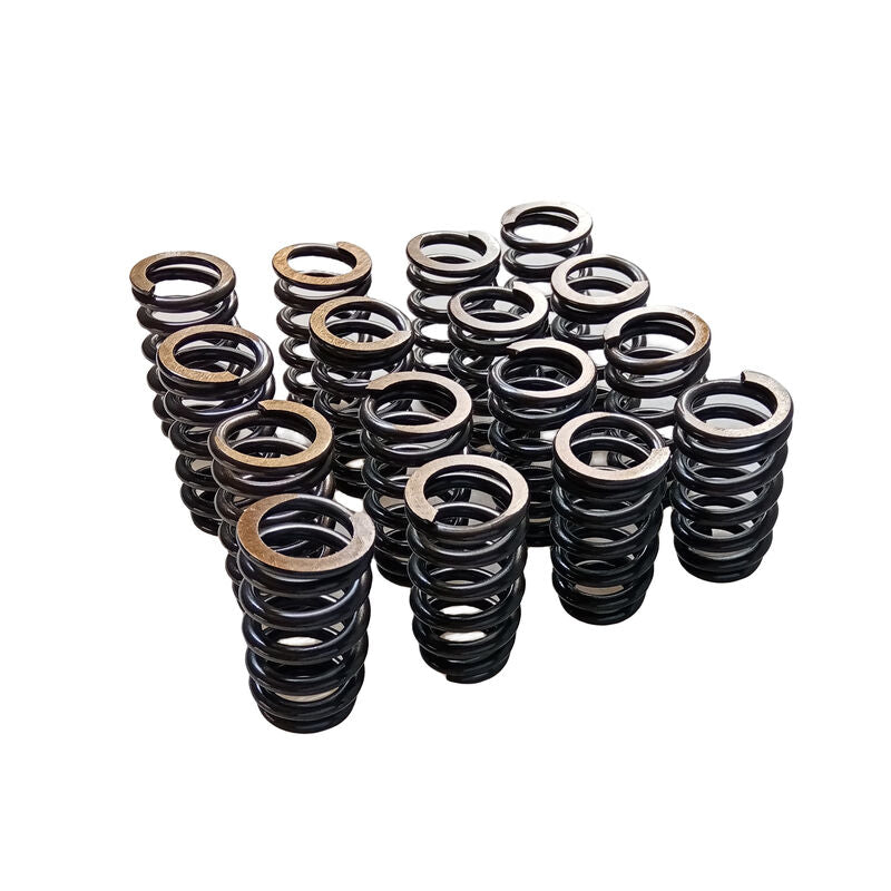 Valve Springs PAC-1218 Fit For GM LQ9 LQ4 LS LS1 LS3 LS6 LS2 4.8 5.3 6.0 6.2 .600"