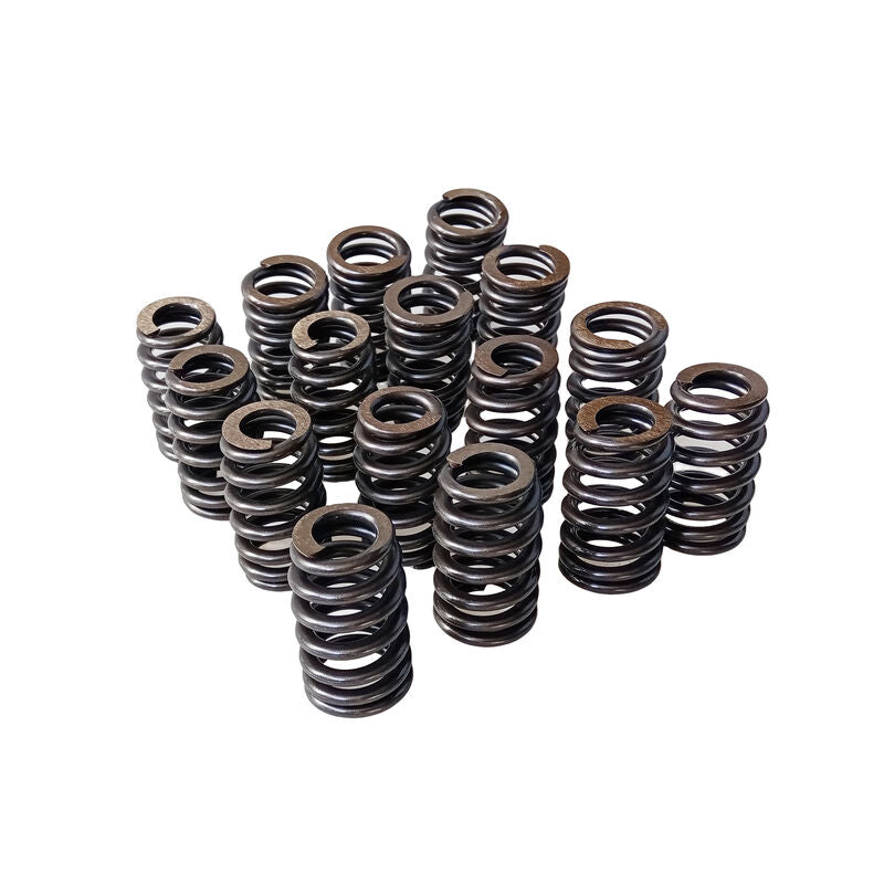Valve Springs Ovate Beehive Series Fit For LS1 LS2 L98 LS3 V8 VT VX VY VZ VE V8
