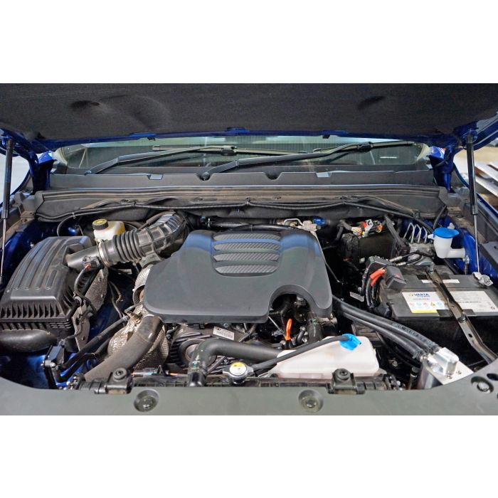 2021 - GWM CANNON HPD Catch Can