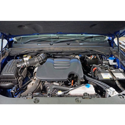 2021 - GWM CANNON HPD Catch Can