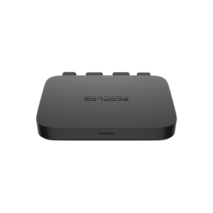 EcoFlow Alternator Charger (800W)